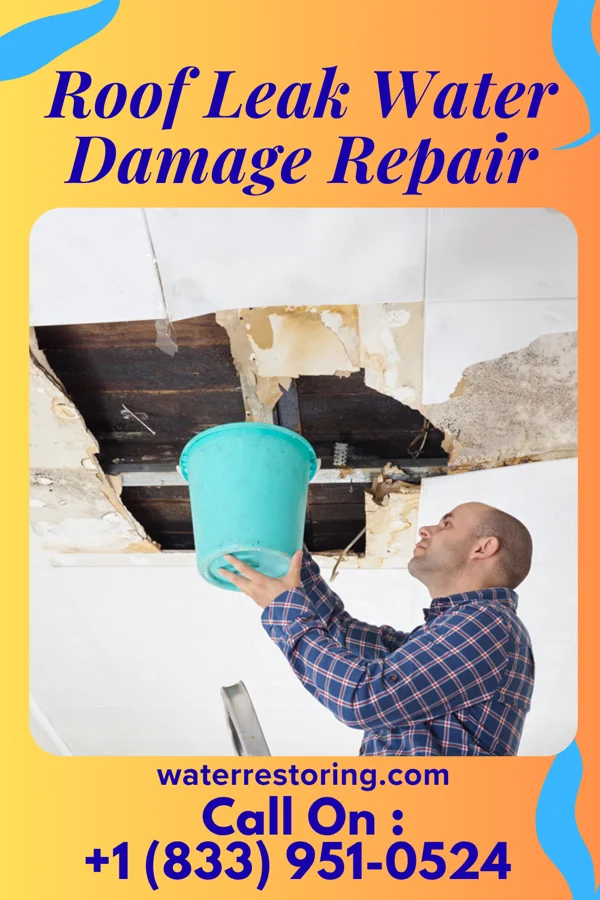 Roof Leak Water Damage Repair in Heidelberg, TX