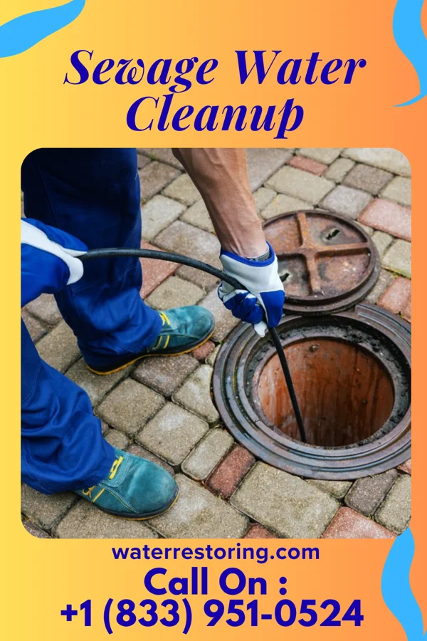 Sewage Water Cleanup in Heidelberg, TX